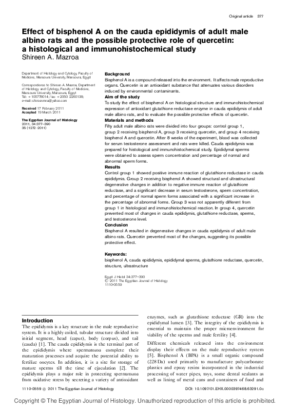 (PDF) Effect of bisphenol A on the cauda epididymis of adult male ...