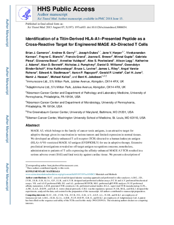 (PDF) Identification of a Titin-Derived HLA-A1–Presented Peptide as a ...