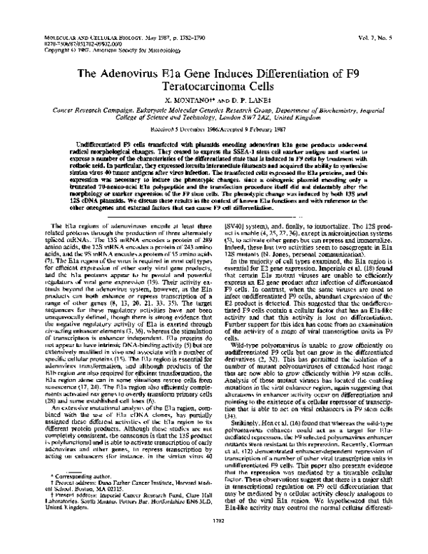 (PDF) The Adenovirus Ela Gene Induces Differentiation of F9 ...
