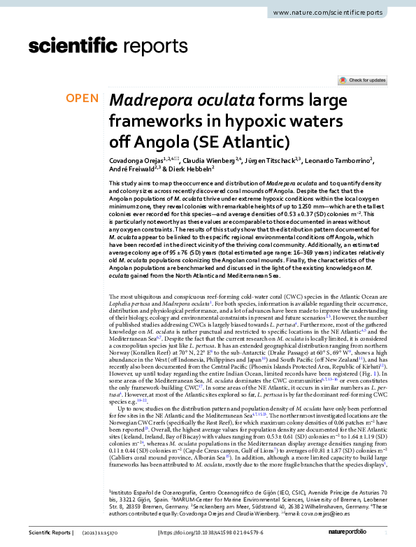 (PDF) Madrepora oculata forms large frameworks in hypoxic waters off ...