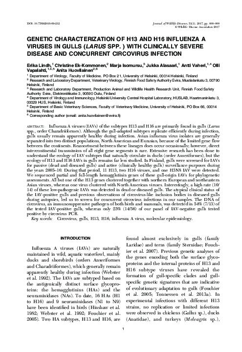 (PDF) GENETIC CHARACTERIZATION OF H13 AND H16 INFLUENZA A VIRUSES IN ...