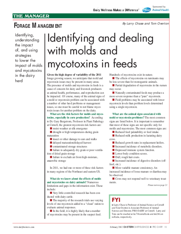 (PDF) Identifying and dealing with molds and mycotoxins in feeds ...