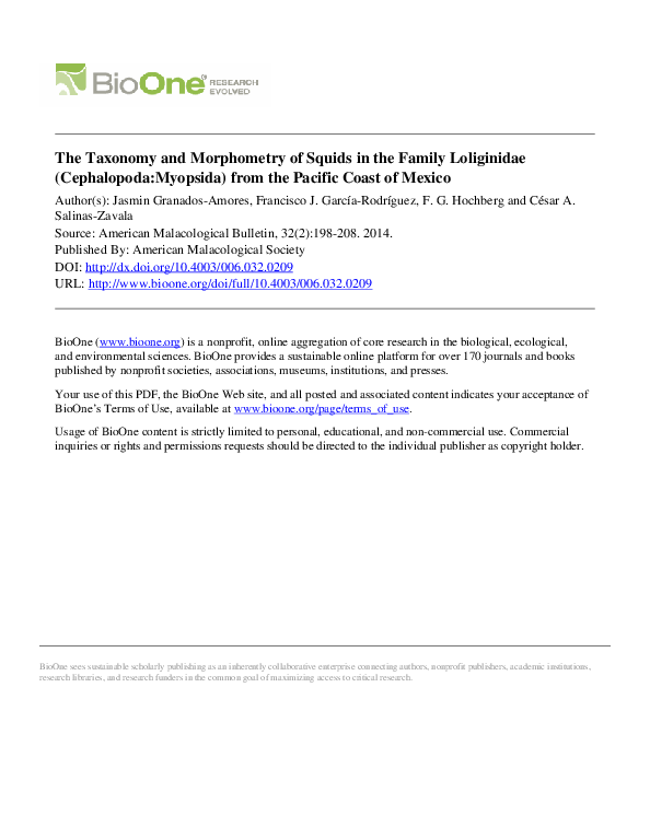 (PDF) The Taxonomy and Morphometry of Squids in the Family Loliginidae ...