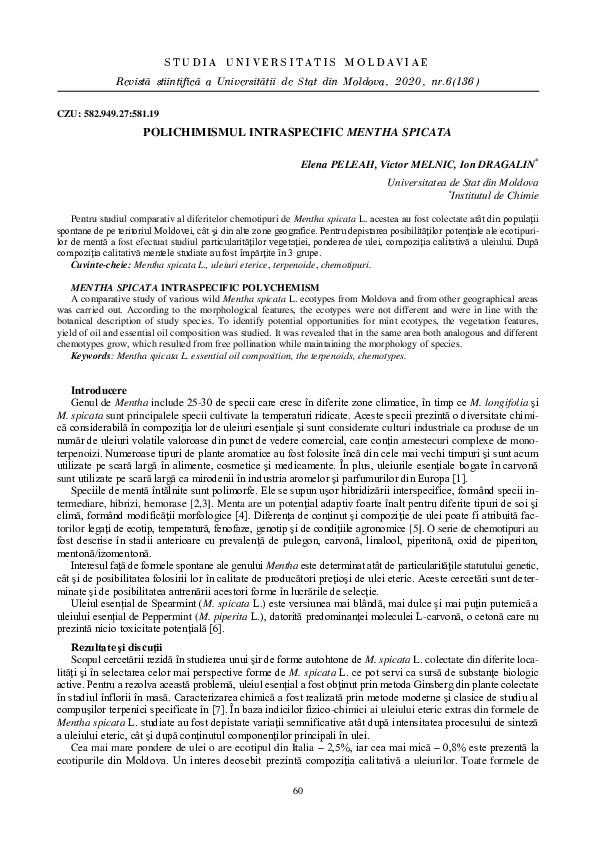 Polichimismul Intraspecific Mentha Spicata