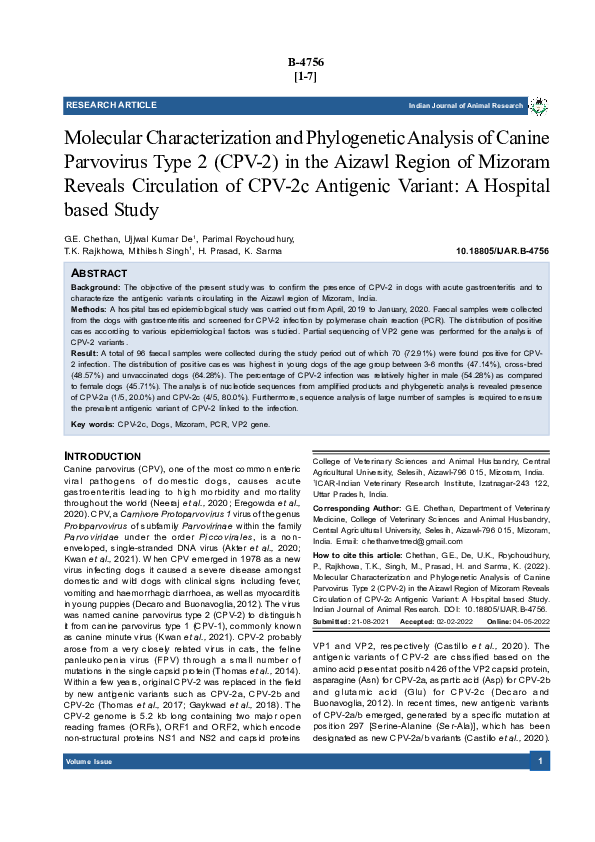 (PDF) Molecular Characterization and Phylogenetic Analysis of Canine ...