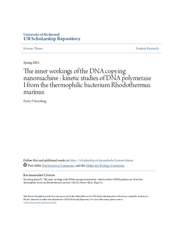 (PDF) The inner workings of the DNA copying nanomachine : kinetic ...