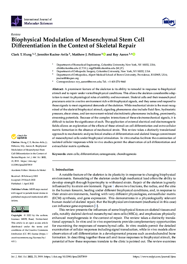 (PDF) Biophysical Modulation of Mesenchymal Stem Cell Differentiation ...