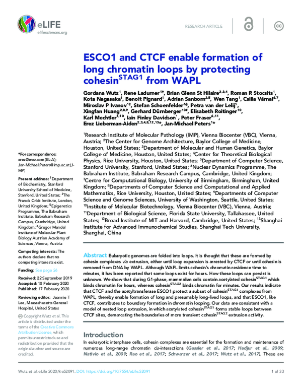 (PDF) ESCO1 and CTCF enable formation of long chromatin loops by ...