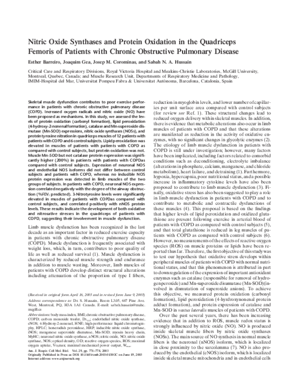 (PDF) Nitric Oxide Synthases and Protein Oxidation in the Quadriceps ...