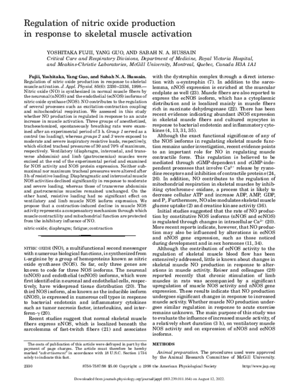 (PDF) Regulation of nitric oxide production in response to skeletal ...