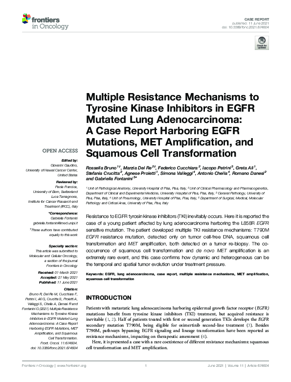 (PDF) Multiple Resistance Mechanisms to Tyrosine Kinase Inhibitors in ...