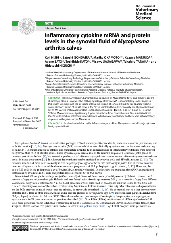 (PDF) Inflammatory cytokine mRNA and protein levels in the synovial ...
