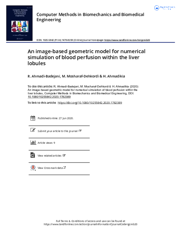 (PDF) An image-based geometric model for numerical simulation of blood ...
