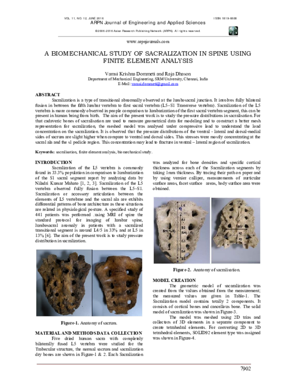 (PDF) A Biomechanical Study of Sacralization in Spine Using Finite ...
