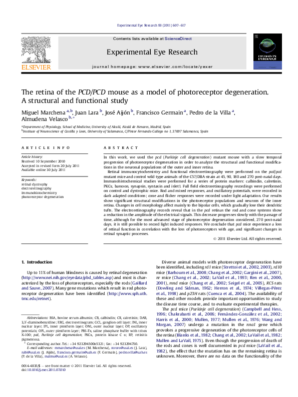 (PDF) The retina of the PCD/PCD mouse as a model of photoreceptor ...