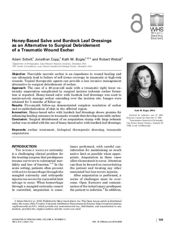 (PDF) Honey-Based Salve and Burdock Leaf Dressings as an Alternative to ...