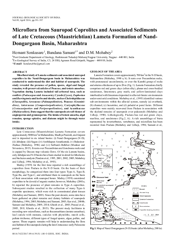 (PDF) Microflora from sauropod coprolites and associated sediments of ...