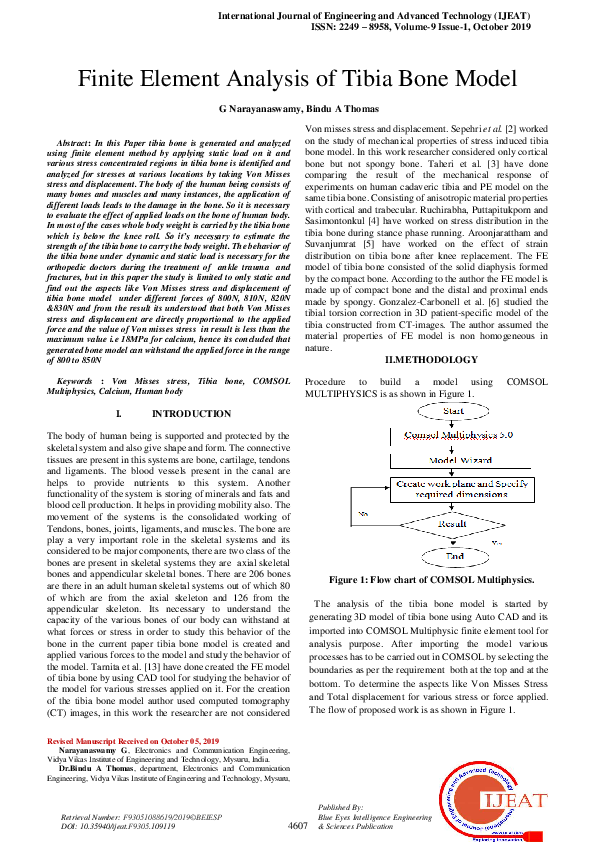 (PDF) Finite element analysis of tibia bone modelInternational Journal ...