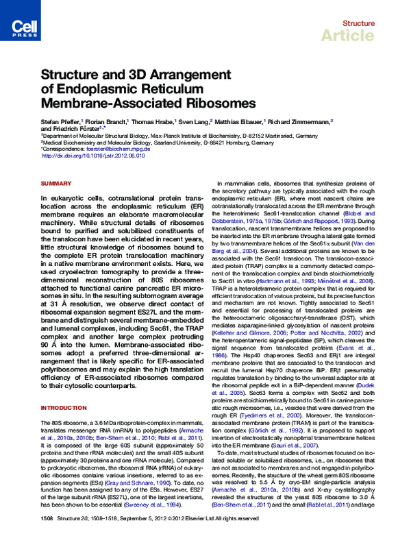 (PDF) Structure and 3D Arrangement of Endoplasmic Reticulum Membrane ...