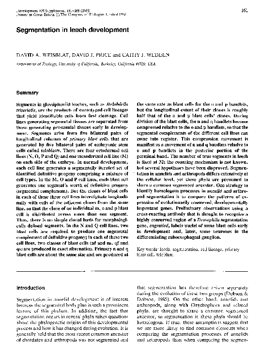 (PDF) Segmentation in leech development