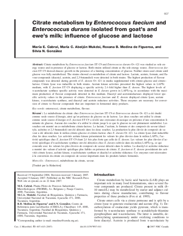 (PDF) Citrate metabolism by Enterococcus faecium and Enterococcus ...