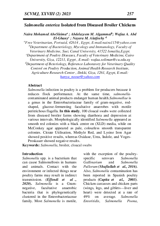 (PDF) Salmonella enterica Isolated from Diseased Broiler Chickens