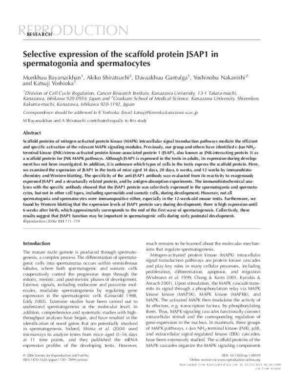 (PDF) Selective expression of the scaffold protein JSAP1 in ...