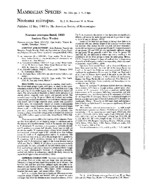 (PDF) Neotoma micropus