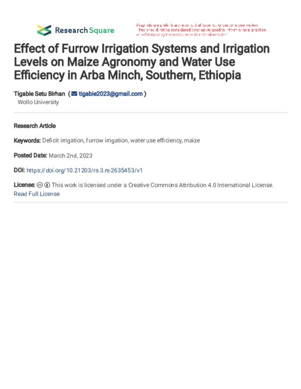 (PDF) Effect of Furrow Irrigation Systems and Irrigation Levels on ...