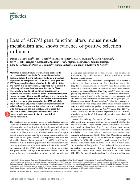 (PDF) Loss of ACTN3 gene function alters mouse muscle metabolism and ...