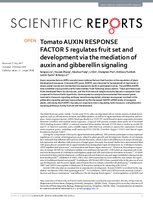 (PDF) Tomato AUXIN RESPONSE FACTOR 5 regulates fruit set and ...