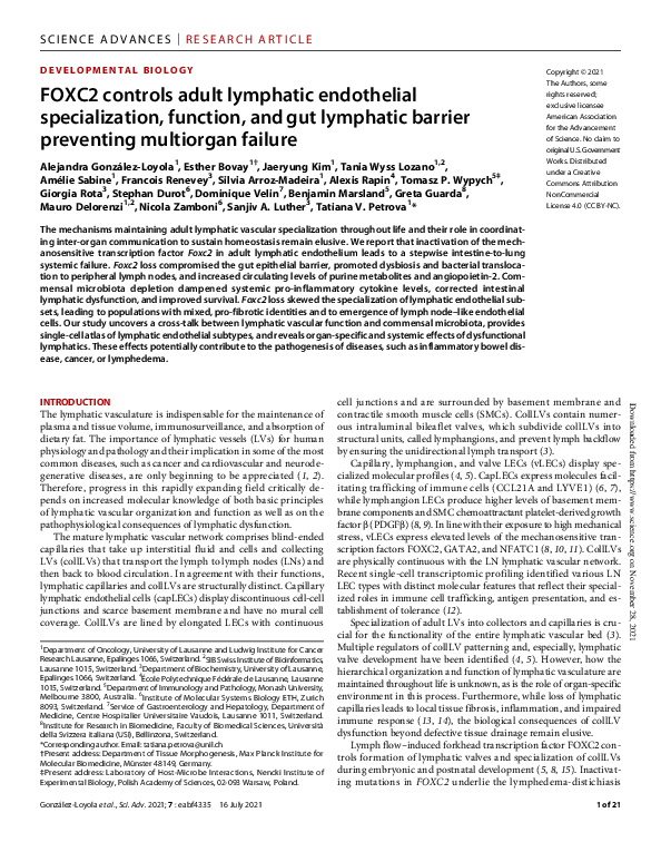 (PDF) FOXC2 controls adult lymphatic endothelial specialization ...