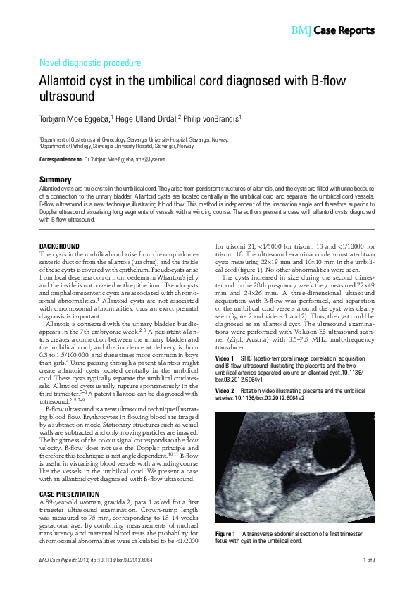 (PDF) Allantoid cyst in the umbilical cord diagnosed with B-flow ultrasound