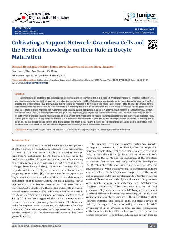 (PDF) Cultivating a Support Network: Granulosa Cells and the Needed ...