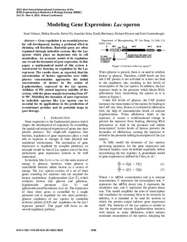 (PDF) Modeling Gene Expression: Lac operon