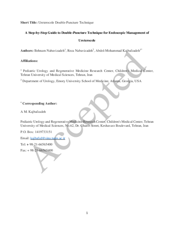 (PDF) A Step-by-Step Guide to Double-Puncture Technique for Endoscopic ...