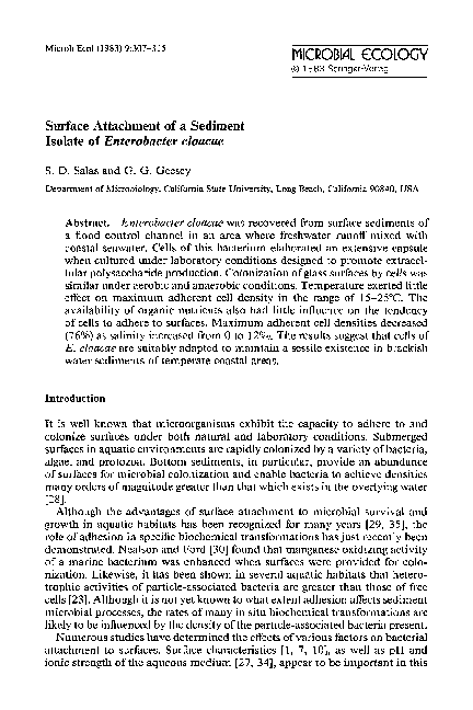 (PDF) Surface attachment of a sediment isolate ofEnterobacter cloacae