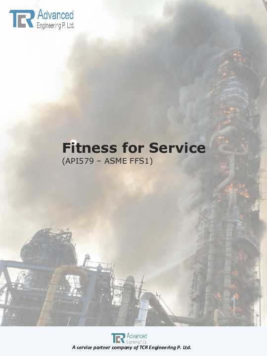 (PDF) Fitness for Service