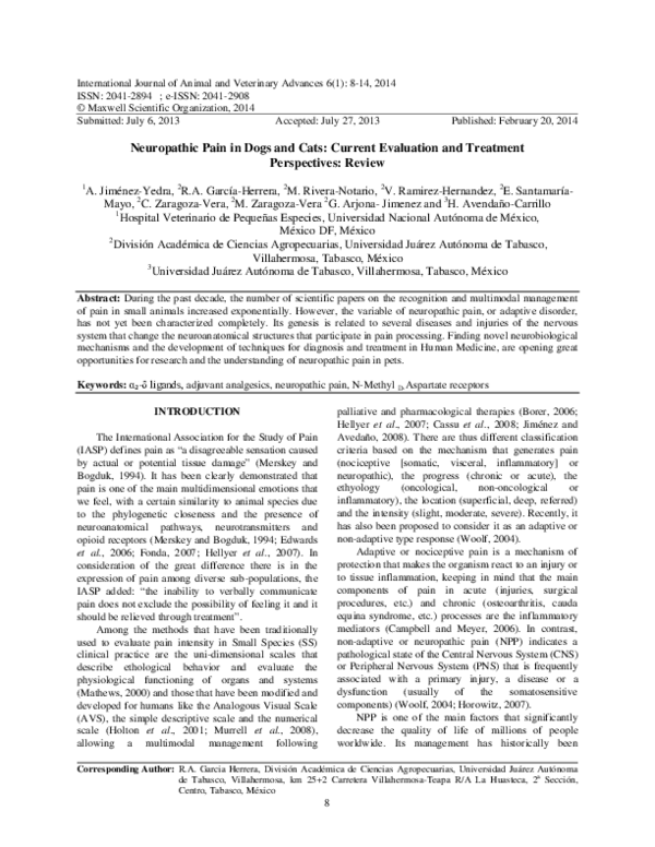 Stunning Evaluation And Treatment For Dogs image
