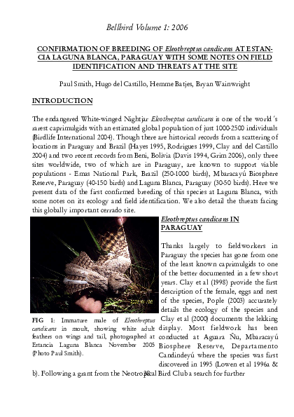 (PDF) Breeding Confirmation of Eleothreptus candicans