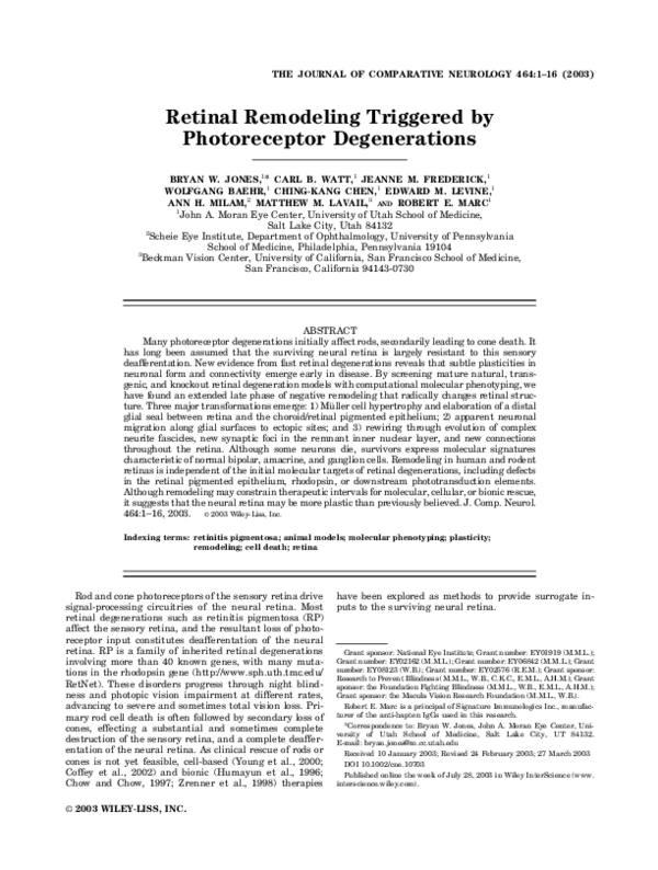 (PDF) Retinal remodeling triggered by photoreceptor degenerations