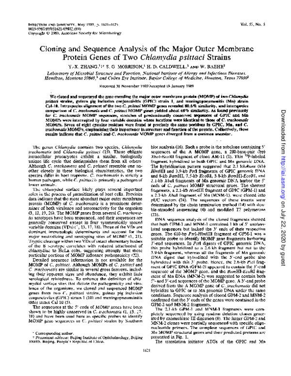 (PDF) Cloning and sequence analysis of the major outer membrane protein ...
