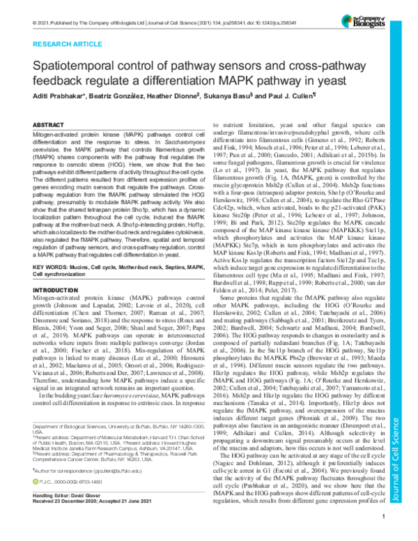 (PDF) Spatiotemporal control of pathway sensors and cross-pathway ...