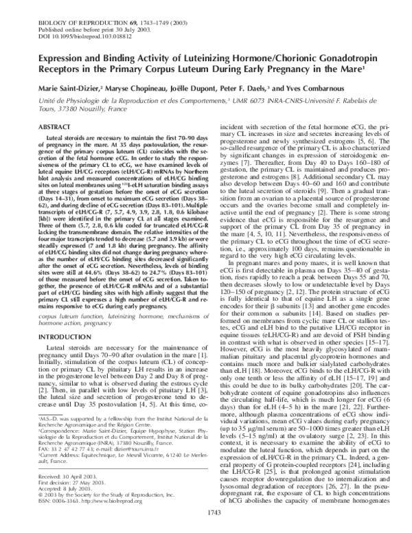(PDF) Expression and binding activity of luteinizing hormone/chorionic ...
