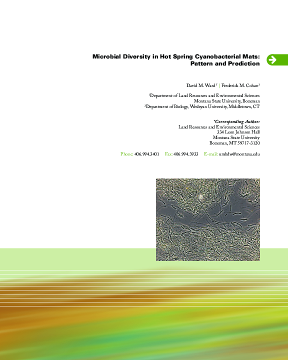 (PDF) Microbial diversity in hot spring cyanobacterial mats: pattern ...