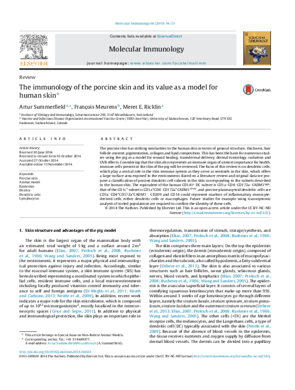 (PDF) The immunology of the porcine skin and its value as a model for ...