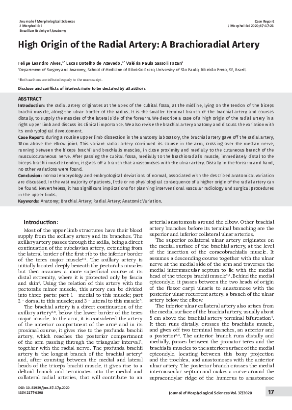 (PDF) High Origin of the Radial Artery: A Brachioradial Artery