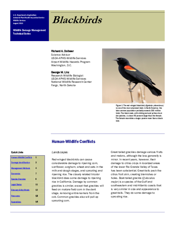 (PDF) Blackbirds