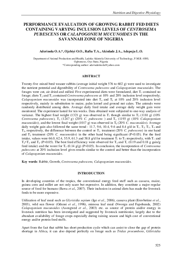 My favourite rabbit picture