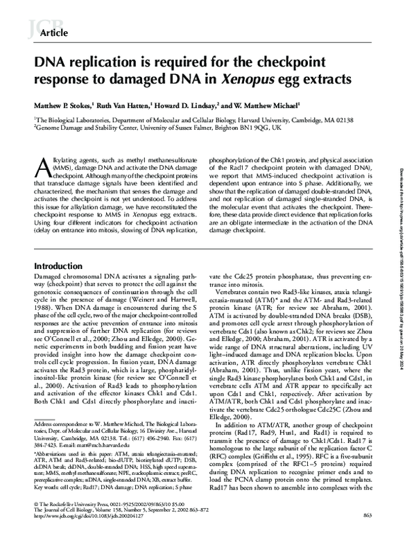 (PDF) DNA replication is required for the checkpoint response to ...
